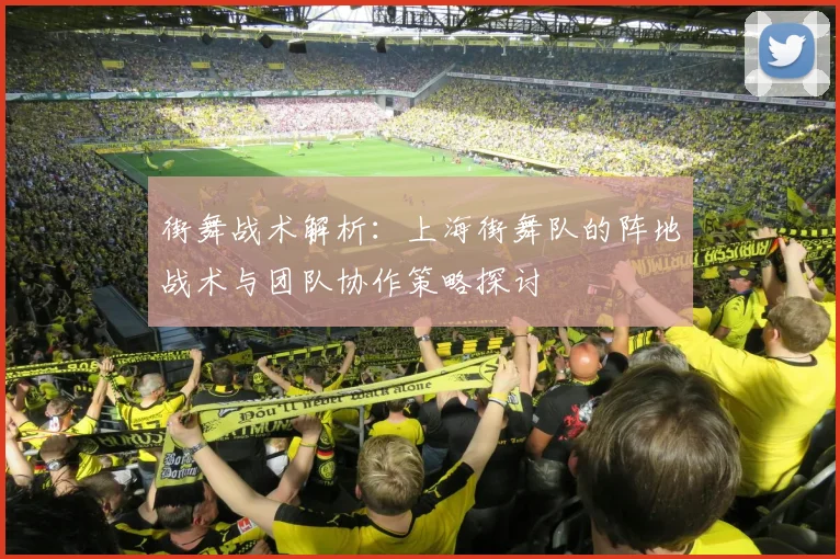 街舞战术解析：上海街舞队的阵地战术与团队协作策略探讨