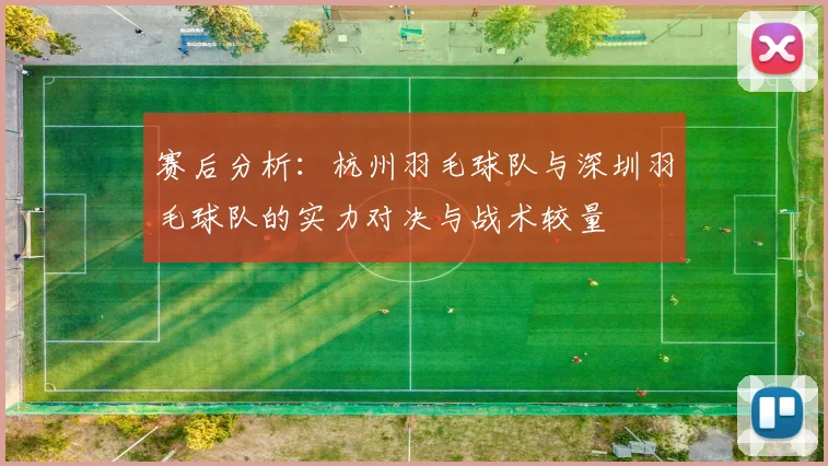 赛后分析：杭州羽毛球队与深圳羽毛球队的实力对决与战术较量