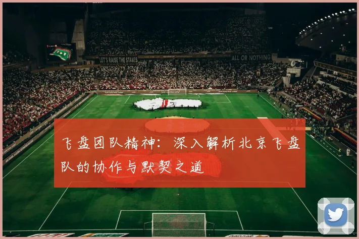 飞盘团队精神：深入解析北京飞盘队的协作与默契之道