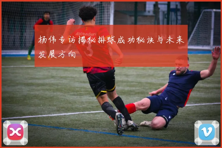 杨伟专访揭秘排球成功秘诀与未来发展方向