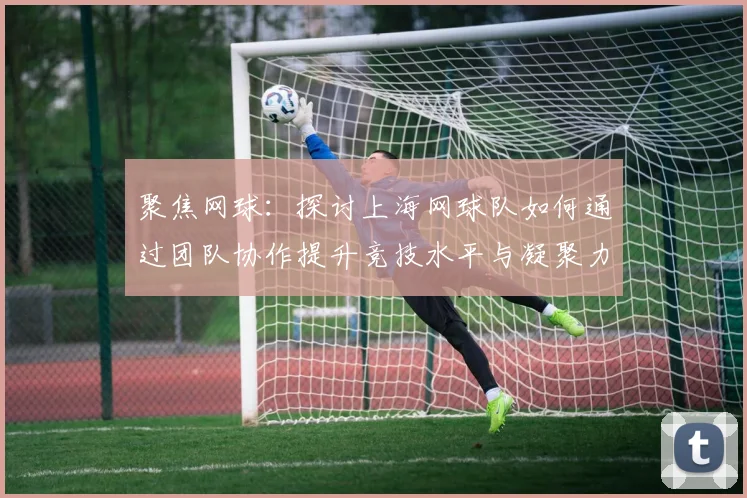 聚焦网球：探讨上海网球队如何通过团队协作提升竞技水平与凝聚力