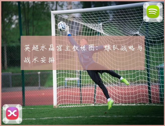 英超水晶宫主教练图：球队战略与战术安排